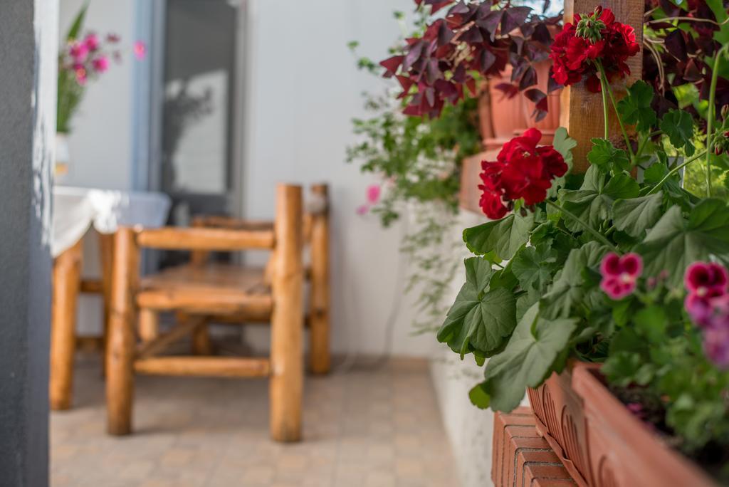 Guesthouse Juli Sapareva Banya Exterior photo
